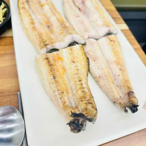 춤추는장어 사진