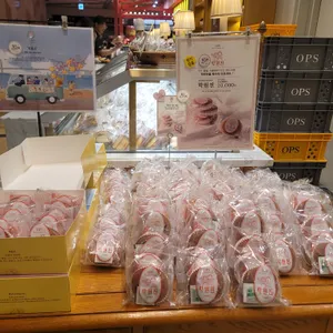 옵스 리뷰 사진