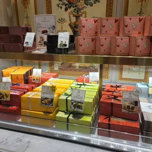 옵스 리뷰 사진