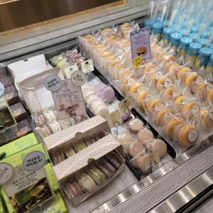 옵스 사진