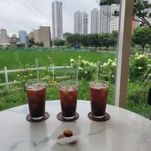 모드니 대표 사진