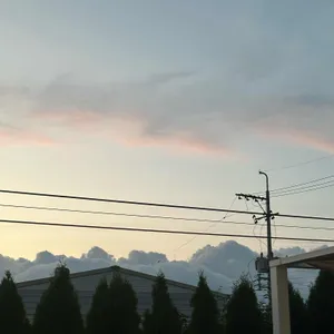 반헤이브 리뷰 사진
