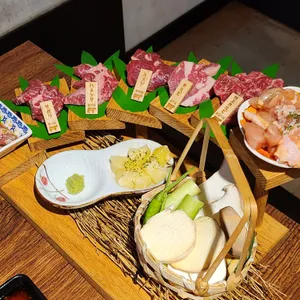 시치린 사진