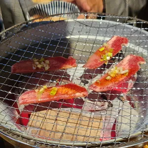시치린 사진