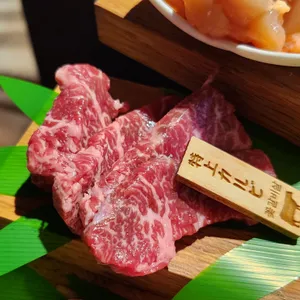 시치린 사진