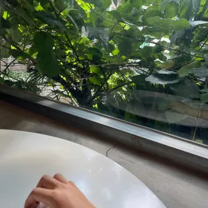 모치플레지르 사진