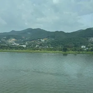 라조리오 리뷰 사진