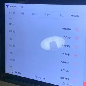 비틀 리뷰 사진