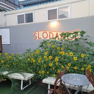 슬로댄스 리뷰 사진