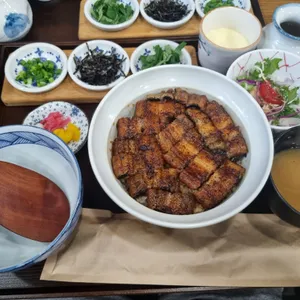 서설 사진