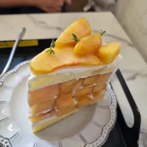 마띠에르 사진