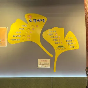 은행나무갈매기 사진