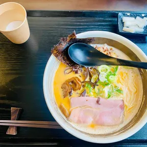 엘리카츠 사진