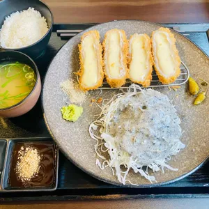 엘리카츠 사진