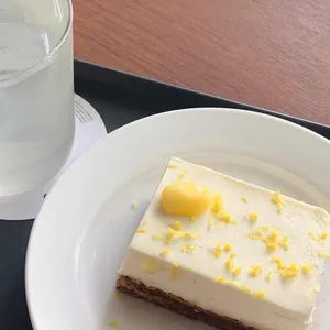 백야 사진