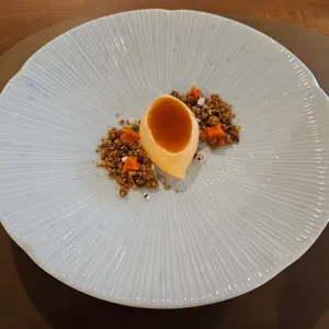 앨리스 프로젝트 사진