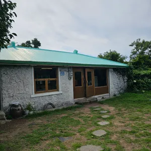 소길다방 리뷰 사진