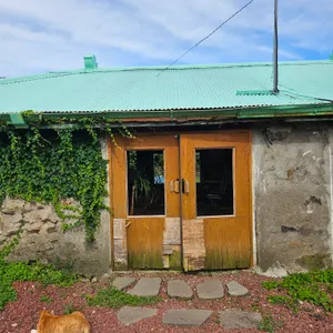 소길다방 리뷰 사진
