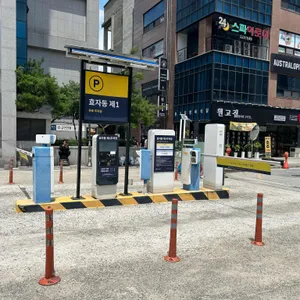 일피오레 리뷰 사진