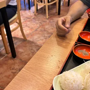 다미가 사진