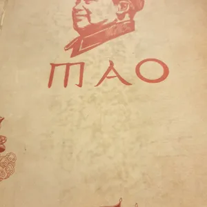 마오 리뷰 사진