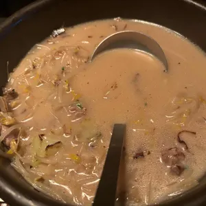 호야 사진