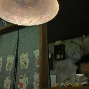 호야 리뷰 사진