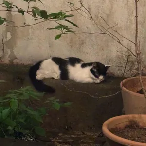 포지티브즈 리뷰 사진