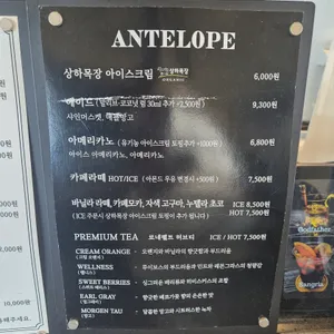 엔틸로프 리뷰 사진