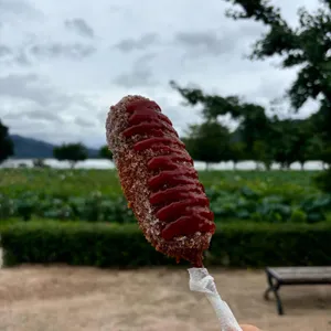 연핫도그 리뷰 사진
