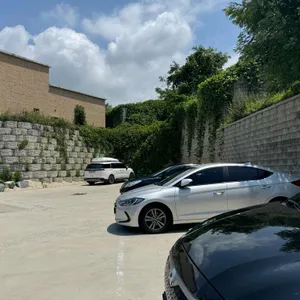 소담낙찌 리뷰 사진