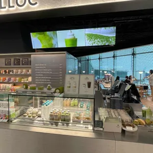 오설록 리뷰 사진