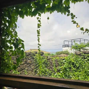 온다정 리뷰 사진