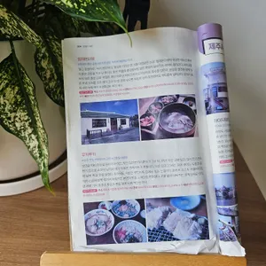 온다정 리뷰 사진