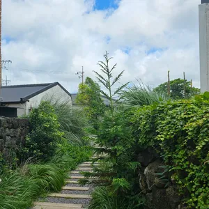 잔물결 리뷰 사진