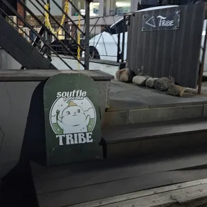 트라이브 사진 2