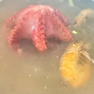 박승광해물손칼국수 리뷰 사진