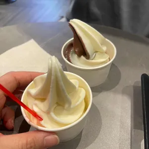 뮤지엄 딥다이브 평창 사진