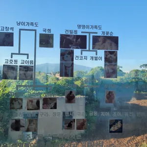 제주카페스르륵 리뷰 사진