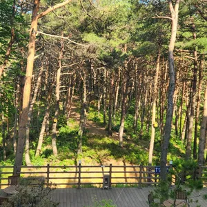 카페 로그 리뷰 사진