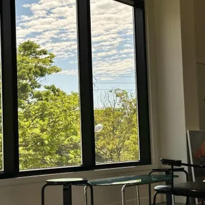파세르 리뷰 사진