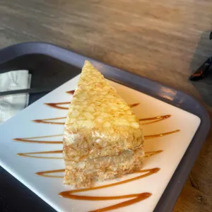 비노 사진