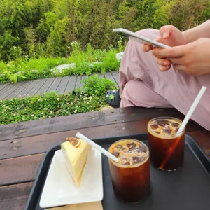 헤이든 사진