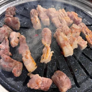 육터 사진