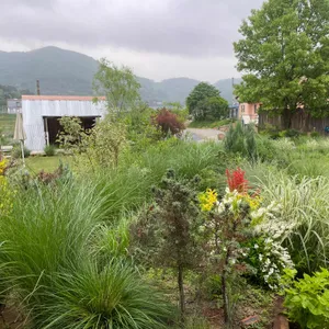 후멜로 리뷰 사진