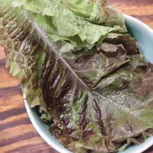 청화백 리뷰 사진