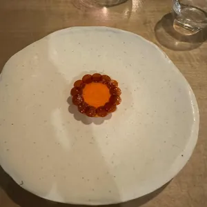 마테르 사진