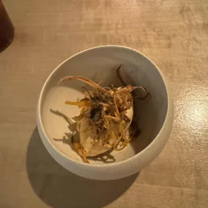 마테르 사진