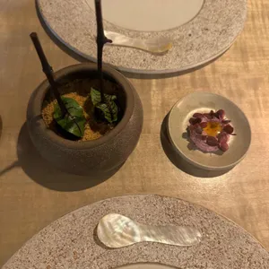 마테르 사진