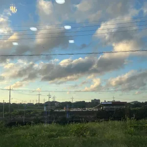 해왓 리뷰 사진